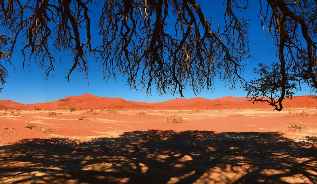 duna45sossusvlei